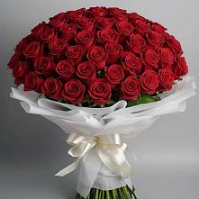 Букет 101 Красная роза Блэк Мэджик в Поворино