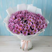 Букет цветов из:  Хризантемы в Поворино