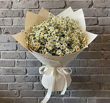 Букет цветов из:  Ромашки #REPLACE_PRED# Поворино