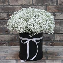 Цветочная композиция из Гипсофила в шляпной коробке в Поворино