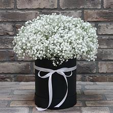 Цветочная композиция из Гипсофила в шляпной коробке в Поворино