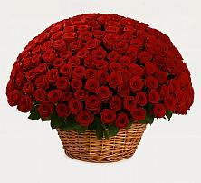 Премиум букет из: Розы в Поворино