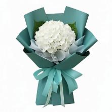 Букет цветов из:  Гортензия #REPLACE_PRED# Поворино